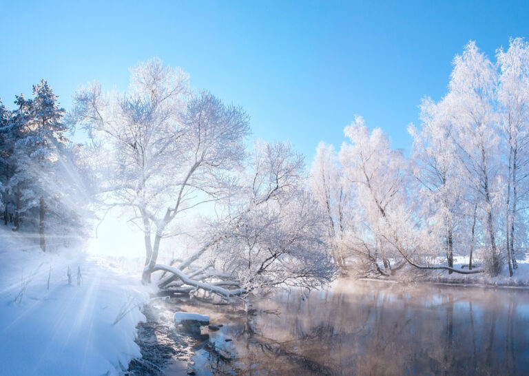 frosty morning front personalised (copy)